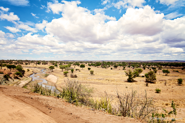 Tarangire