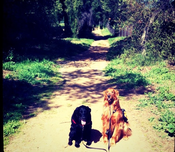 hikers