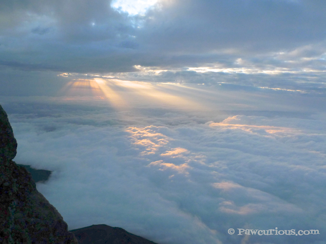 Sunrise over Kilimanjaro