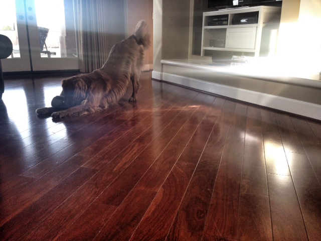 home2