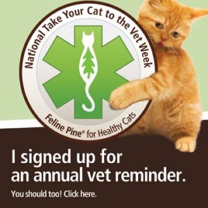 National Drag Your Cat to the Vet Week