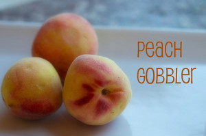 The Pawcurean Presents: Peach Gobblers