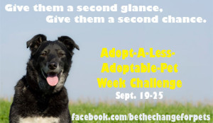 Be the Change Challenge: Adopt a Seriously Adoptable Pet Week
