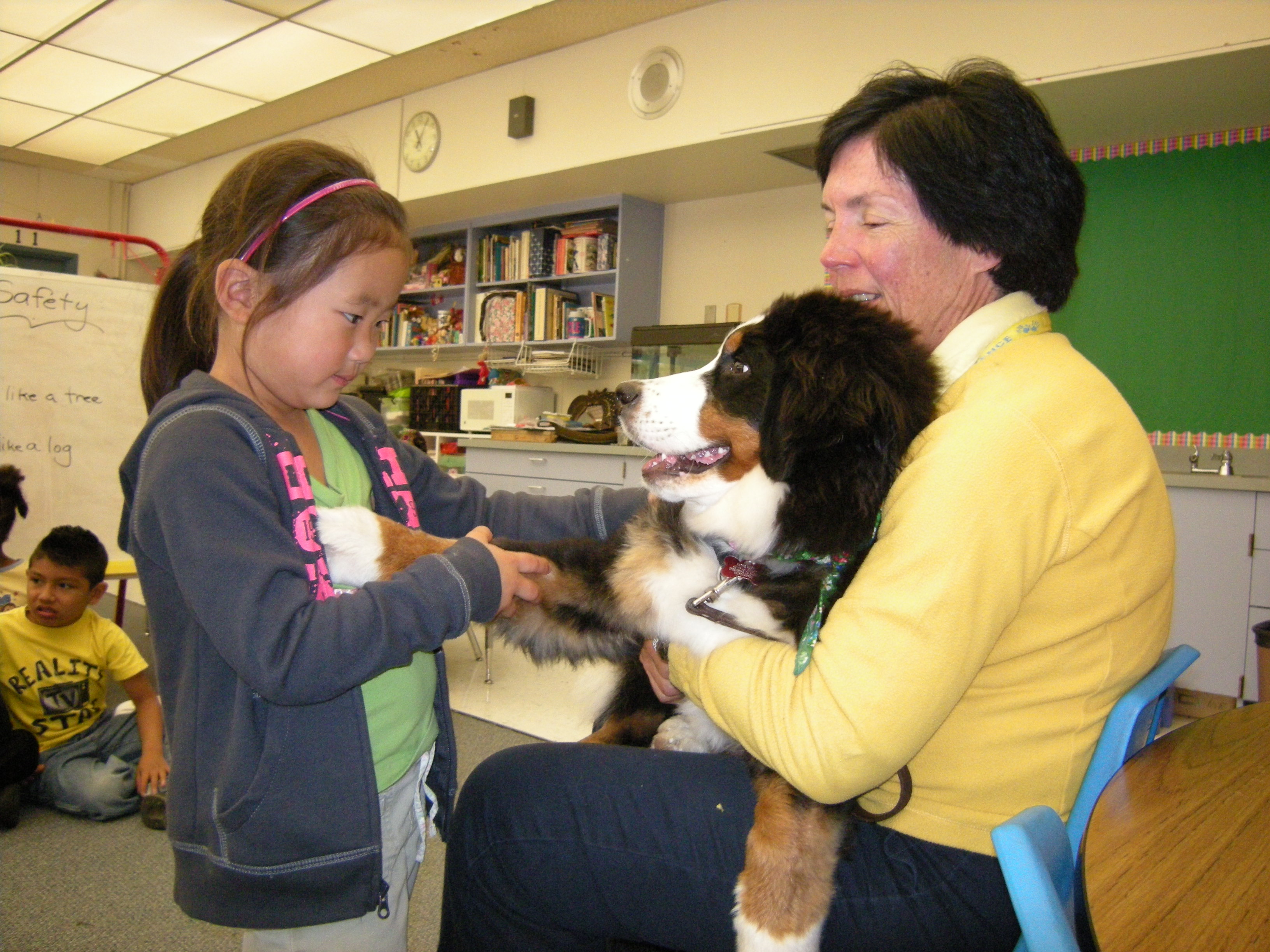 Animal Assisted Therapy: Helping Kids Succeed – Pawcurious: With  Veterinarian and Author Dr. V