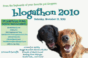 Start your engines: Blogathon 2010 is coming!!