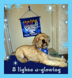On the eighth day of Petukkah