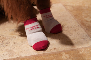 Woodrow Wear Power Paws Review and Giveaway!