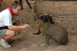 Indiana Bones in Peru: Capybara Blood Bait
