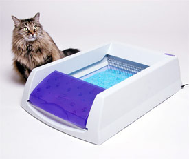 The Litterbox Chronicles: Scoop Free Litter Box Review