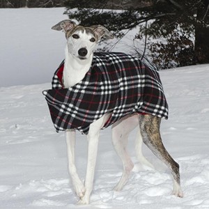 Thousand Post Giveaway: Joy Pet Products Doggie Coat!