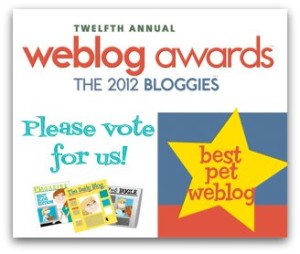 We’re nominated for the Bloggies!