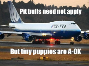Come Fly the Friendly Skies- as long as you’re not a pit bull