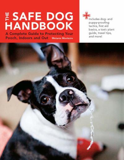 the-safe-dog-handbook-a-complete-guide-to-protecting-your-pooch-indoors-and-out