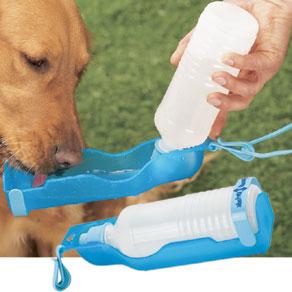 One of about a billion ways to provide your dog with H20.