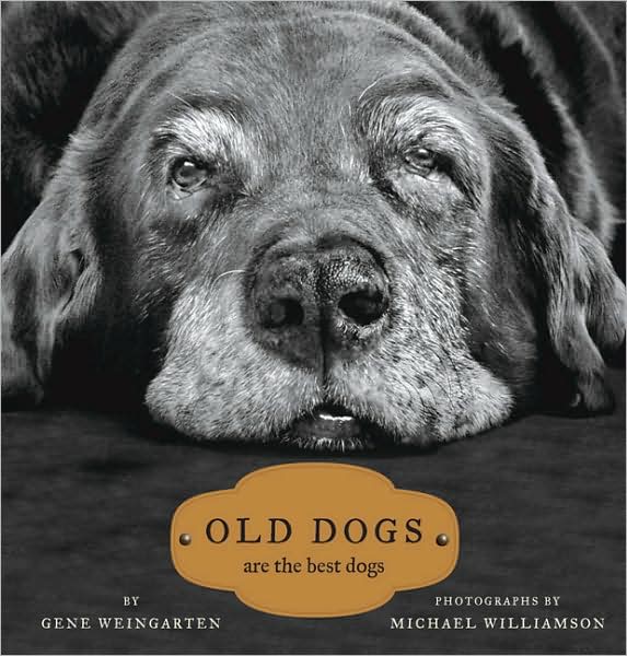 Old-Dogs-are-the-best-Dogs-Cover1