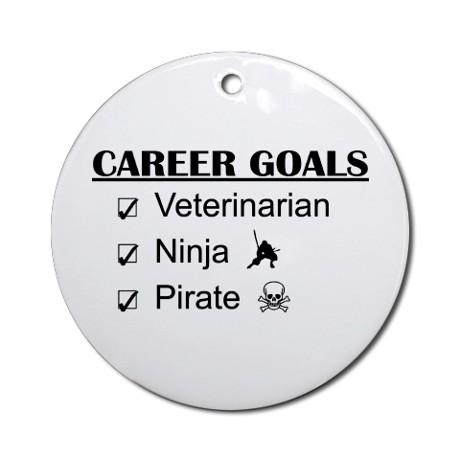 vet_career_goals_ninja_pirate_ornament_round