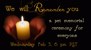 We Will Remember You: A Pet Loss Memorial Candle Ceremony