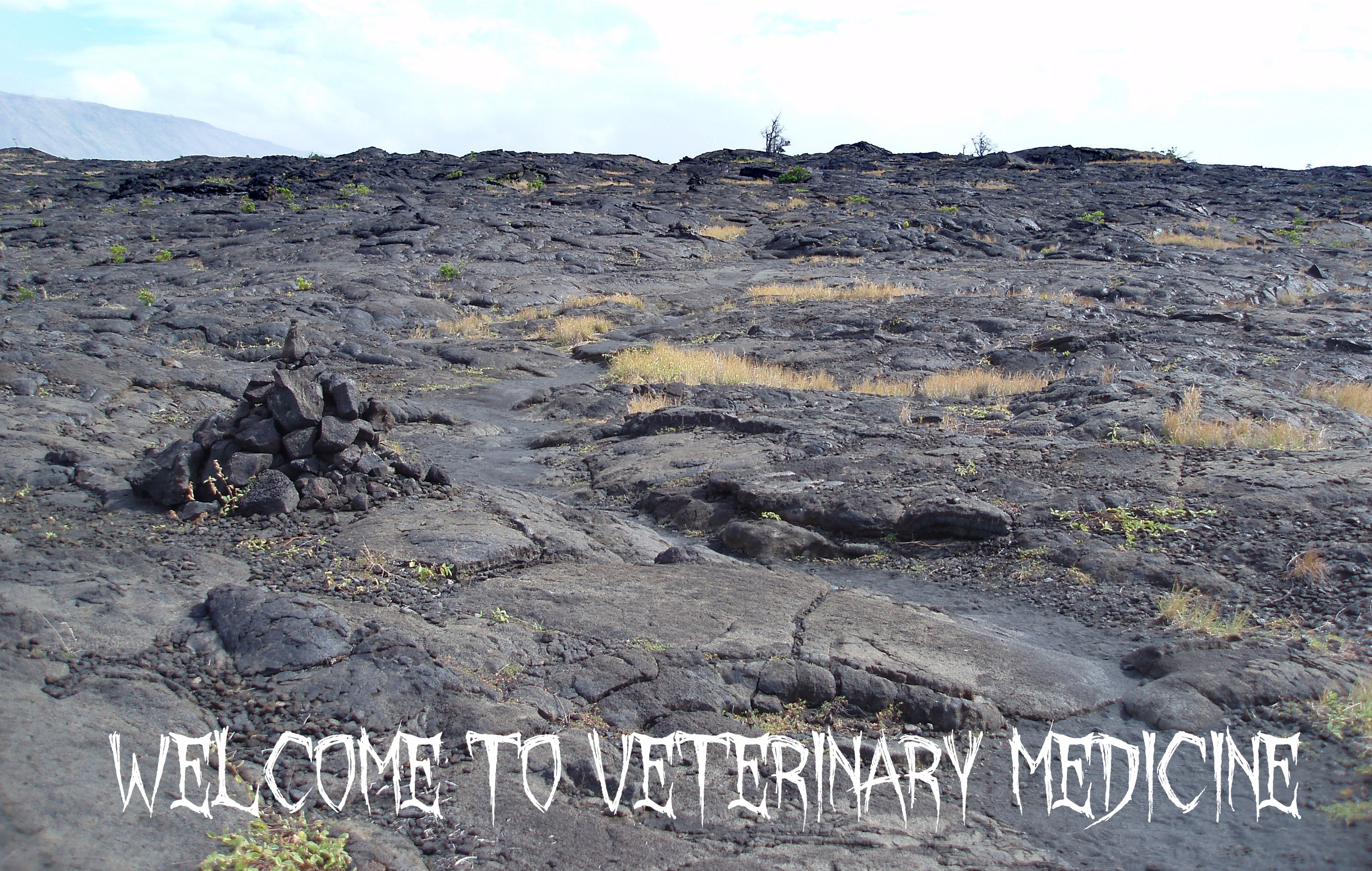 barren landscape of hawaiis big island in the volcanoes national park
