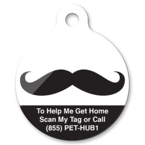 Tags for Tomes: PetHub and Lost Pet Prevention Month!