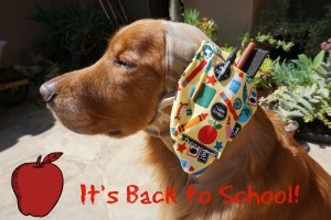 EOTW: Back to School for Brody One Ear!