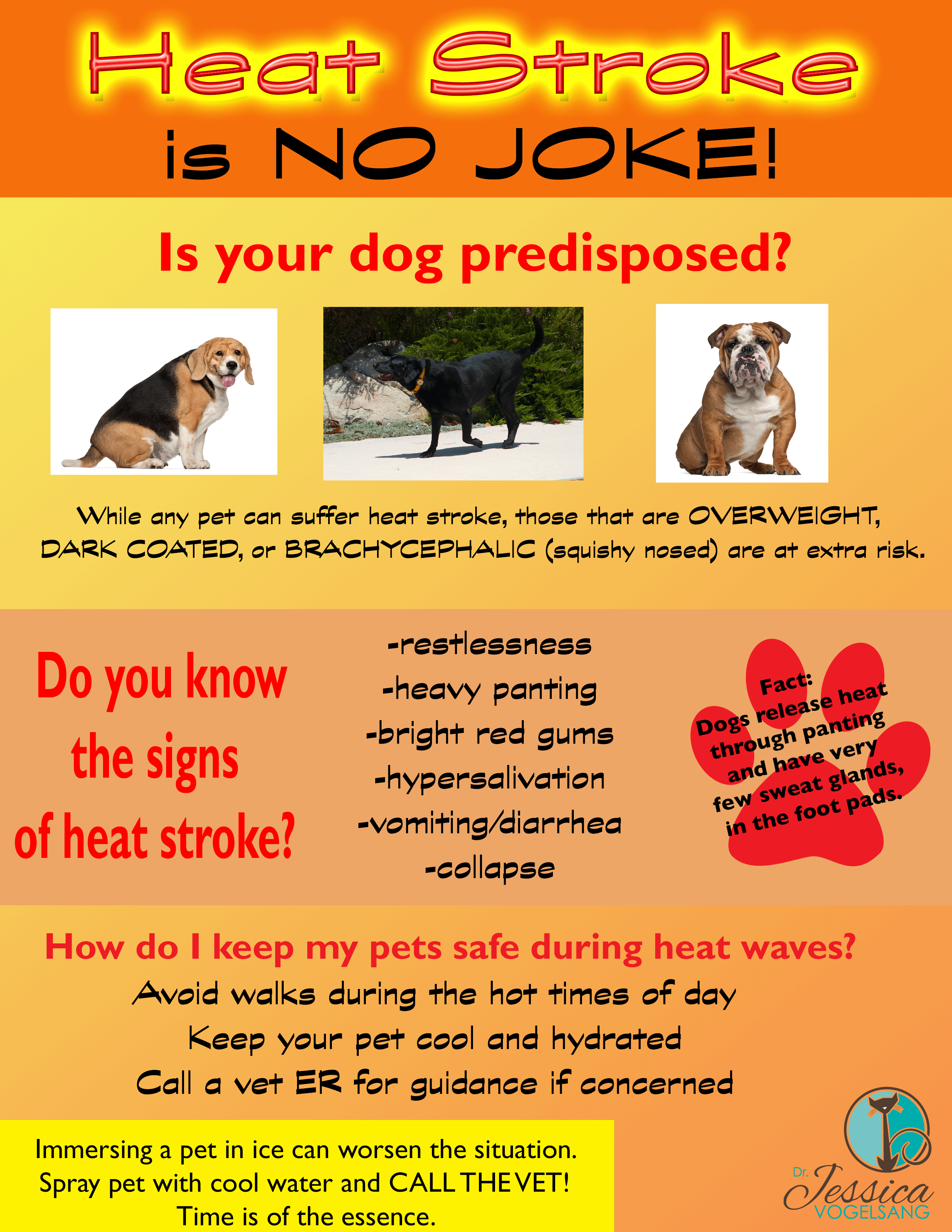 Signs Of Heat Exhaustion In Dogs