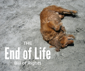 The Dying Pet’s Bill of Rights