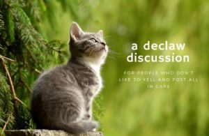 This is How I Feel About Declaws: Now With Minimal Exclamation Points