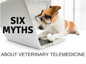 6 Myths About Veterinary Telemedicine We Need to Get Over