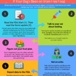 What You Should Know About the FDA Alert on Grain Free Dog Foods