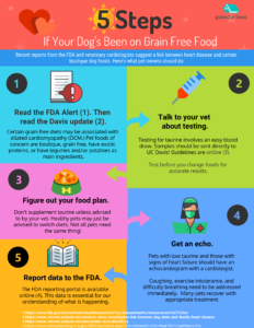 What You Should Know About the FDA Alert on Grain Free Dog Foods